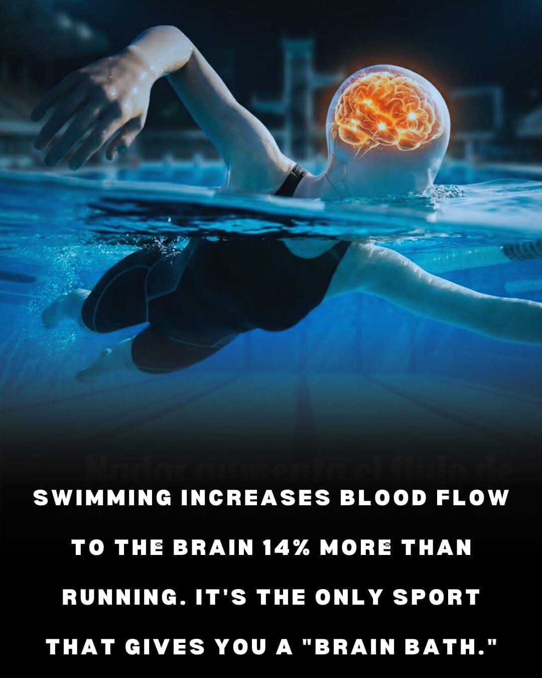 WhatsApp Image 2026-01-07 at 1.07.29 PM (1)