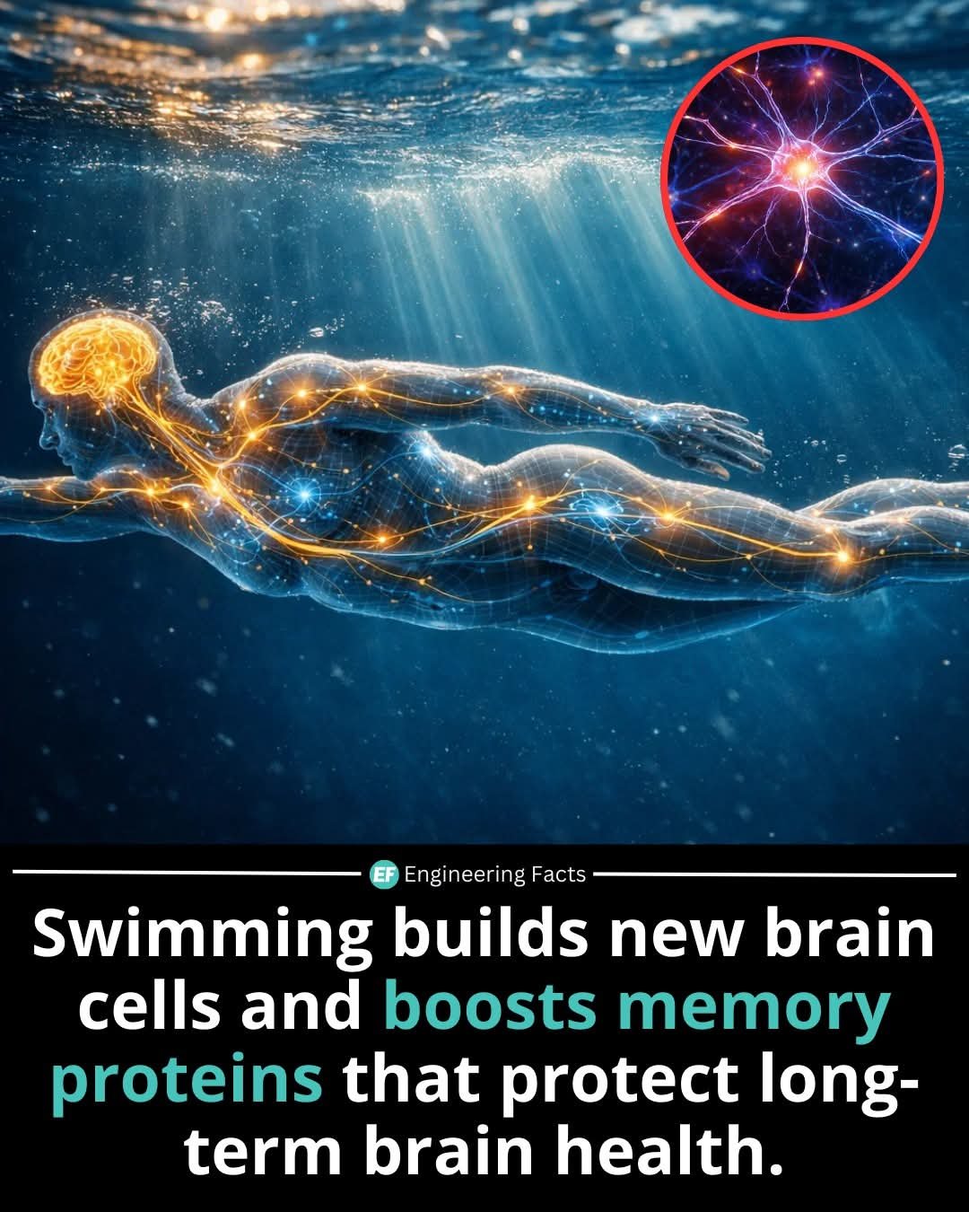 WhatsApp Image 2026-01-07 at 1.07.30 PM (2)